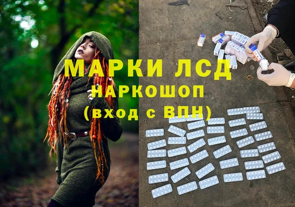 ГАЛЛЮЦИНОГЕННЫЕ ГРИБЫ Нязепетровск