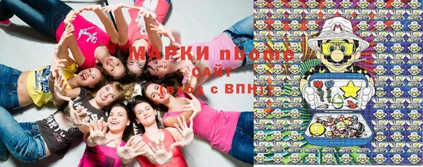 тгк Няндома