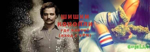 тгк Няндома