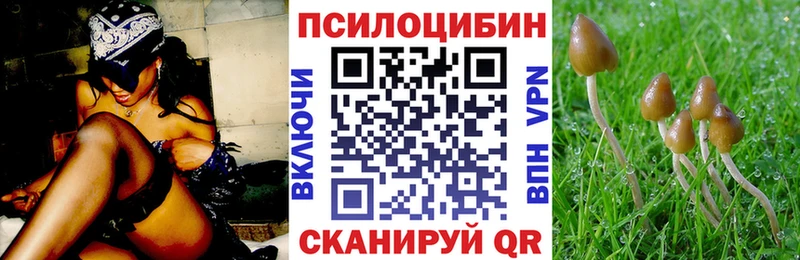 Псилоцибиновые грибы Cubensis  хочу   Ардатов 